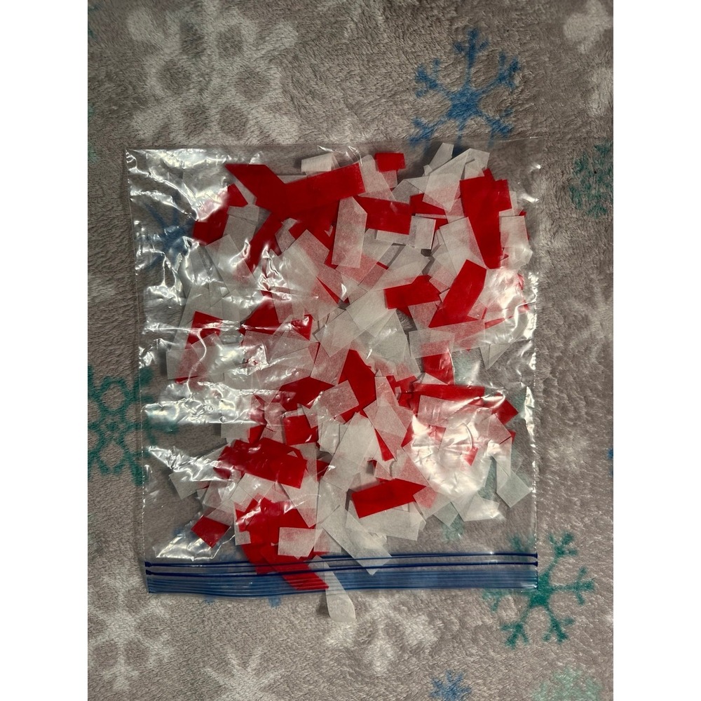 Sabrina Carpenter short & sweet tour confetti gallon bag